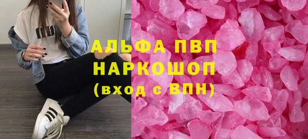 крисы Алексин